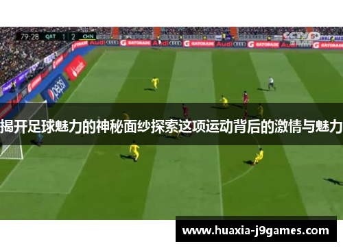 揭开足球魅力的神秘面纱探索这项运动背后的激情与魅力
