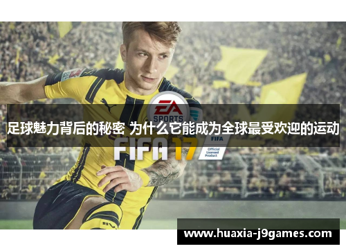 足球魅力背后的秘密 为什么它能成为全球最受欢迎的运动