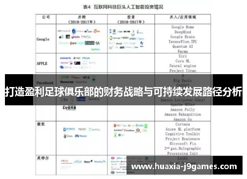 打造盈利足球俱乐部的财务战略与可持续发展路径分析