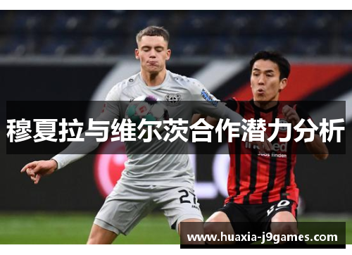 穆夏拉与维尔茨合作潜力分析 穆夏拉与维尔茨合作潜力分析